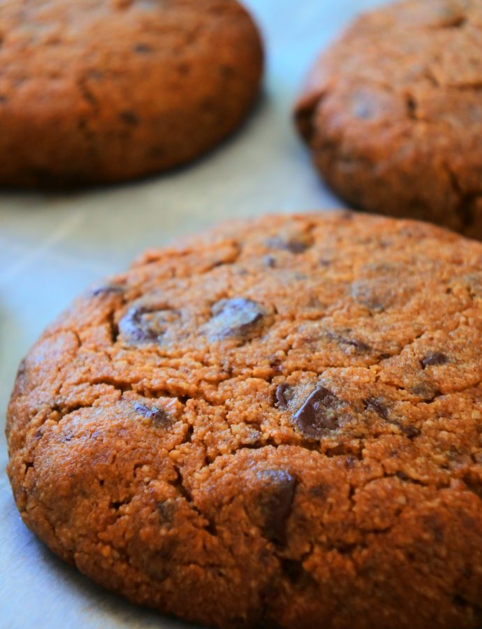 The Best Gluten-Free Chocolate Chip Cookie