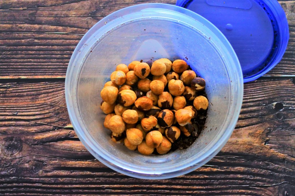 An overhead image of shelled and skinned hazelnuts in a container