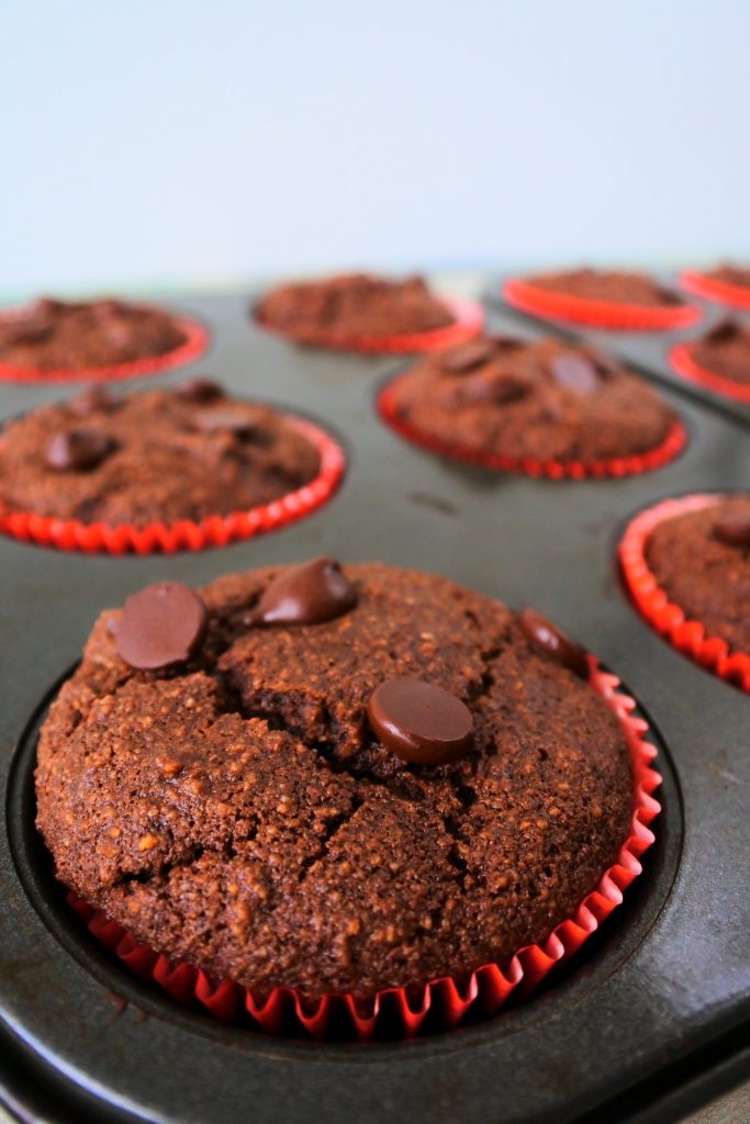A head on close up image of a Gluten Free Double Chocolate Chip muffin in a muffin tray